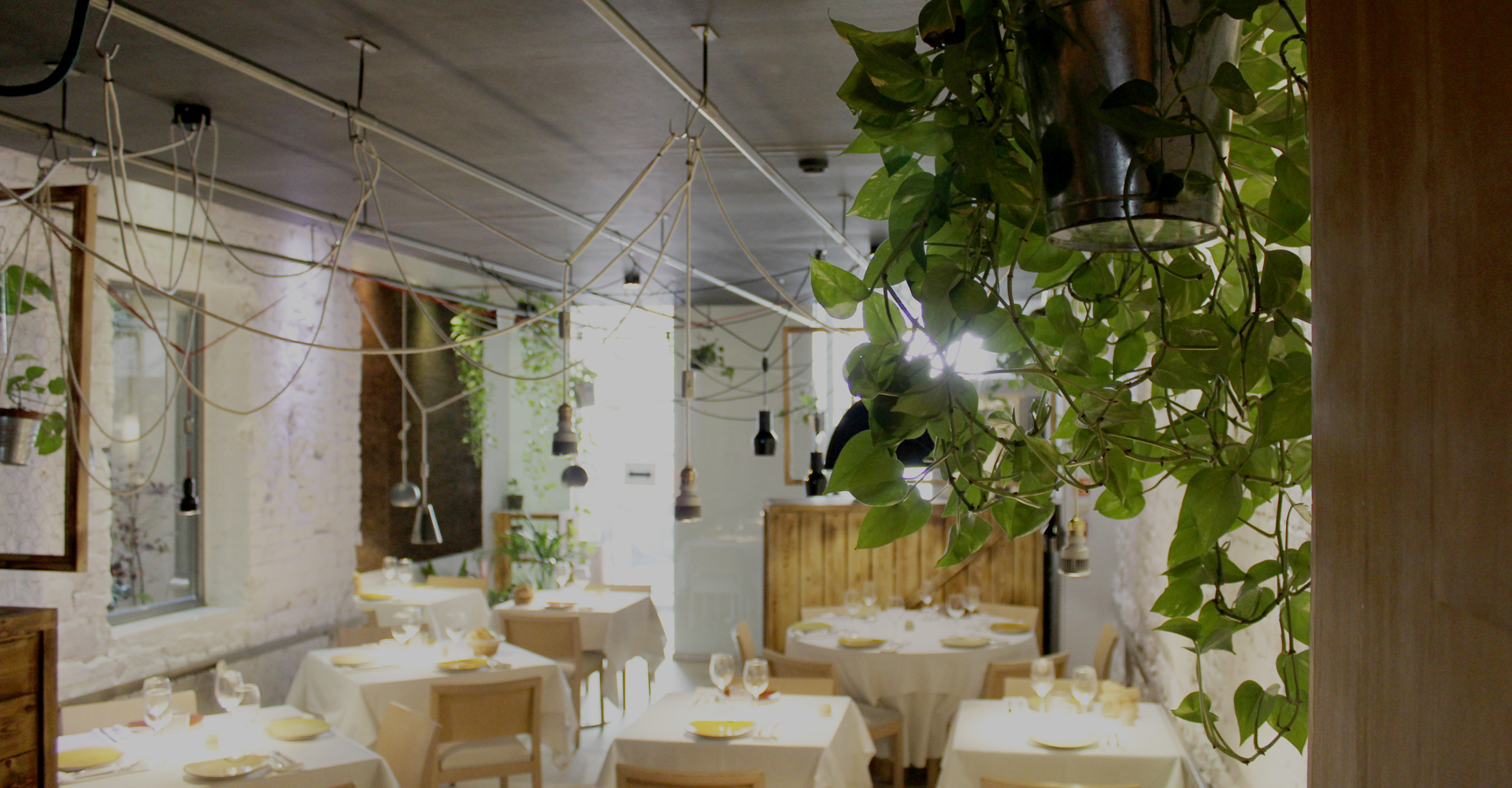 Potshop Madrid, jardines verticales, huertos urbanos, decoración floral, decoración de cuadros naturales, diseño de hábitat, jardín vertical, decoración restaurante, jardín vertical restaurante, decoración negocios, plantas sin mantenimiento, plantas preservadas, marketing vegetal, Juan Carlos Tribiño, cultivos hidropónicos