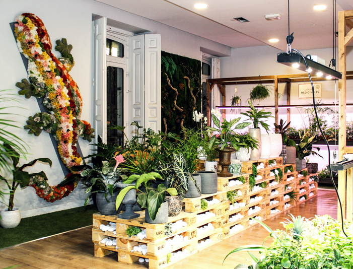 Potshop Madrid, jardines verticales, huertos urbanos, decoración floral, decoración de cuadros naturales, diseño de hábitat, jardín vertical, decoración restaurante, jardín vertical restaurante, decoración negocios, plantas sin mantenimiento, plantas preservadas, marketing vegetal, Juan Carlos Tribiño, cultivos hidropónicos